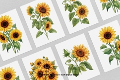 15 Bundle Watercolor Sun Flower Rose Flower Floral Botanical Product Image 3