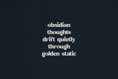 Quindle Retro Serif Display Font Product Image 3