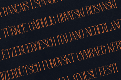 Tacenda Organic Serif Modern Decorative Display Product Image 3