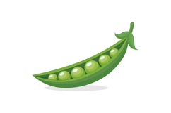 Green Peas and Pea Pods Vector Set Product Image 4
