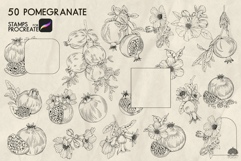 Pomegranate Procreate stamp brushes Product Image 3