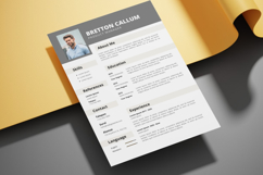 16 Professional Resume CV - Canva Product Image 3
