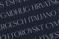 Footle Elegant Modern Serif Font Product Image 3