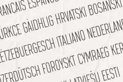 Serifora Modern Elegant Serif Typeface Product Image 3