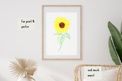 Watercolor sunflower clipart Product Image 2