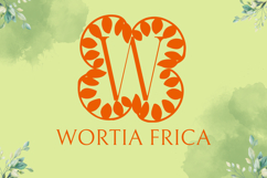 Olive Bloom Monogram - Botanical Serif Monogram Font Product Image 2