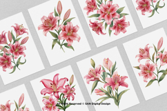 15 Bundle Watercolor Red Lily Flower Botanical Aesthetic Product Image 3