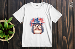 Cute Hedgehog Fireworks Patriotic Watercolor Clipart PNG Product Image 3