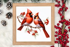 Christmas Cardinal Watercolor Clipart, Christmas Cardinal Product Image 3