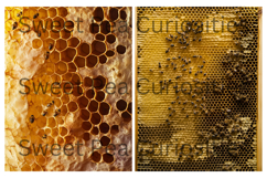 Bee, Hives, Bee Journal, Papers, Junk Journal Product Image 3