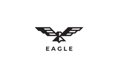 Eagle Logo Design Vector Illustration Product Image 3