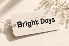 Baltufino Font: Bold Handwritten Marker Style Product Image 7