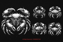 10 Bundle Dark Art Cancer Crabs Gothic Horror Beast Animal Product Image 5