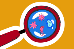Hand Drawn Science and Biology Clipart Laboratory Product Image 8