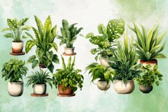 Houseplants in Pot Sublimation Clipart Bundle, Houseplants Product Image 4