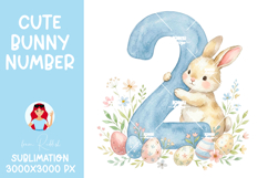 Easter Bunny Number 0-9 PNGs,Baby Shower Sublimation Design Product Image 4