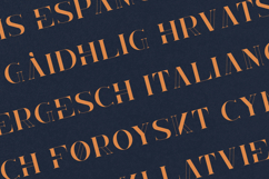 Mallie Elegant Modern Serif Display Font Product Image 3