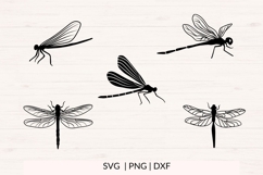 Dragonfly SVG Bundle, PNG DXF Insect Silhouettes Product Image 3
