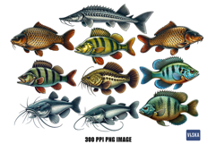 Freshwater Fish PNG Bundle Product Image 3