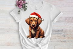Cute Christmas Dog Sublimation Clipart, Cute Christmas Dog Product Image 3