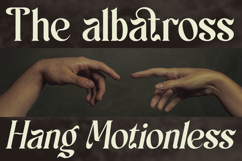 Schales - Aesthetic Ligature Serif Font Product Image 3
