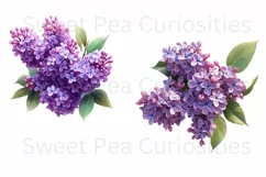 Flowers, Ephemera, Shabby Chic , PNG, Clipart Product Image 3