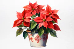 Christmas Houseplants Clipart PNG Product Image 3