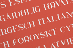 Kavo Elegant Modern Serif Font Product Image 3