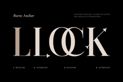 Burnt Anchor - Romantic Serif Product Image 3