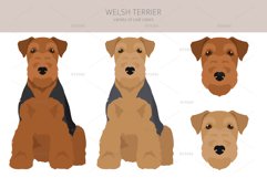 Welsh Terrier clipart Product Image 3