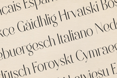 Modern Heritage Elegant Serif Display Font Product Image 3