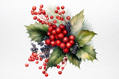 Winter Christmas Greenery Clipart PNG Product Image 3