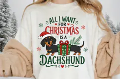 Dachshund Christmas PNG, All I Want For Christmas Is A Product Image 5