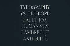 Zyntro Elegant High-Contrast Serif Product Image 3
