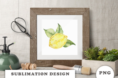 Watercolor Lemons composition png Product Image 3