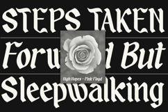 Sandey Molse - Blackletter Display Font Product Image 3