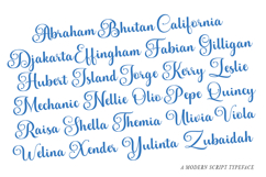 Andelintia - Family Font In 67 Styles Product Image 3