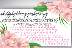 Santhia Product Image 3