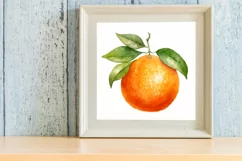 Watercolor Orange Clipart, Watercolor Clipart Product Image 3