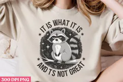 It is what it is. And PNG, Funny Raccoon Quotes Sublimation Product Image 3