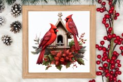 Christmas Cardinal Watercolor Clipart, Christmas Cardinal Product Image 3