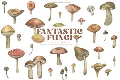 Watercolour Fantastic Fungi Product Image 3
