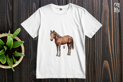 Realistic Horse Watercolor Clipart Sublimation PNG Product Image 2