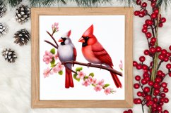 Christmas Cardinal Watercolor Clipart, Christmas Cardinal Product Image 3