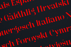 Wonderz Elegant Modern Serif Typeface Product Image 3