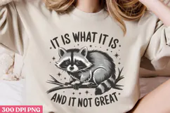 It is what it is. And is it not great PNG, Funny Raccoon Quo Product Image 3