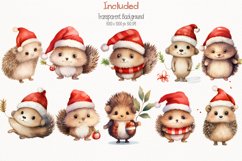 Chrisrtmas hedgehog Watercolor 50 Cliparts Collection Product Image 3