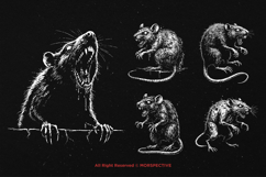 10 Bundle Dark Art Death Rat Plague Skull Rattus Disease Product Image 5