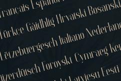 Anteric Cinematic Display Serif Typeface Product Image 3