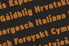 Minerva Blackout Bold Retro Display Font Product Image 3